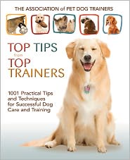 Top Tips for Top Trainers