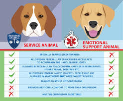 are emotional support dogs service animals